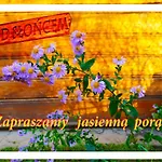 Pansiyon Pod Sloncem *