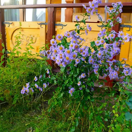 Pod Sloncem Habitación en casa particular *