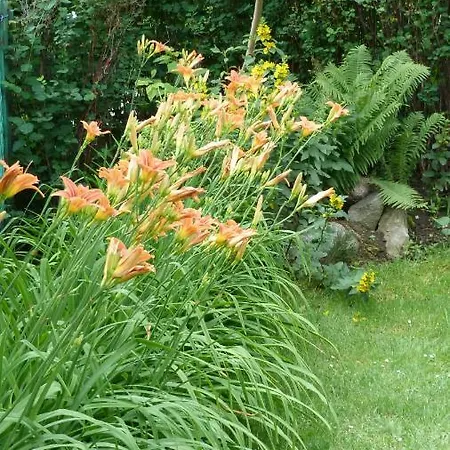 Homestay Pod Sloncem *